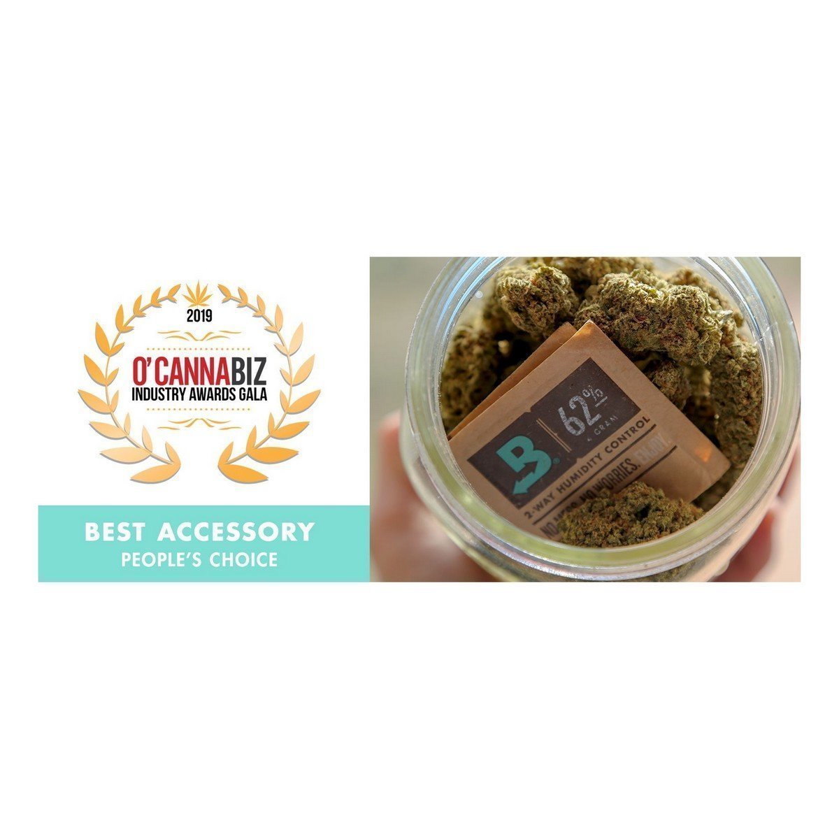 Copy of Boveda 62% RH (1 gram - Single Pack)