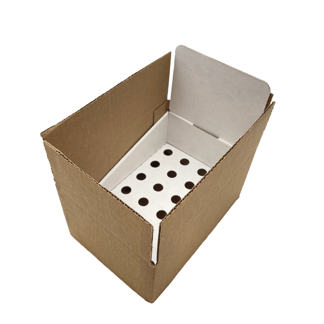 White Pop Counter Display - Small (Fits 24 Tubes)