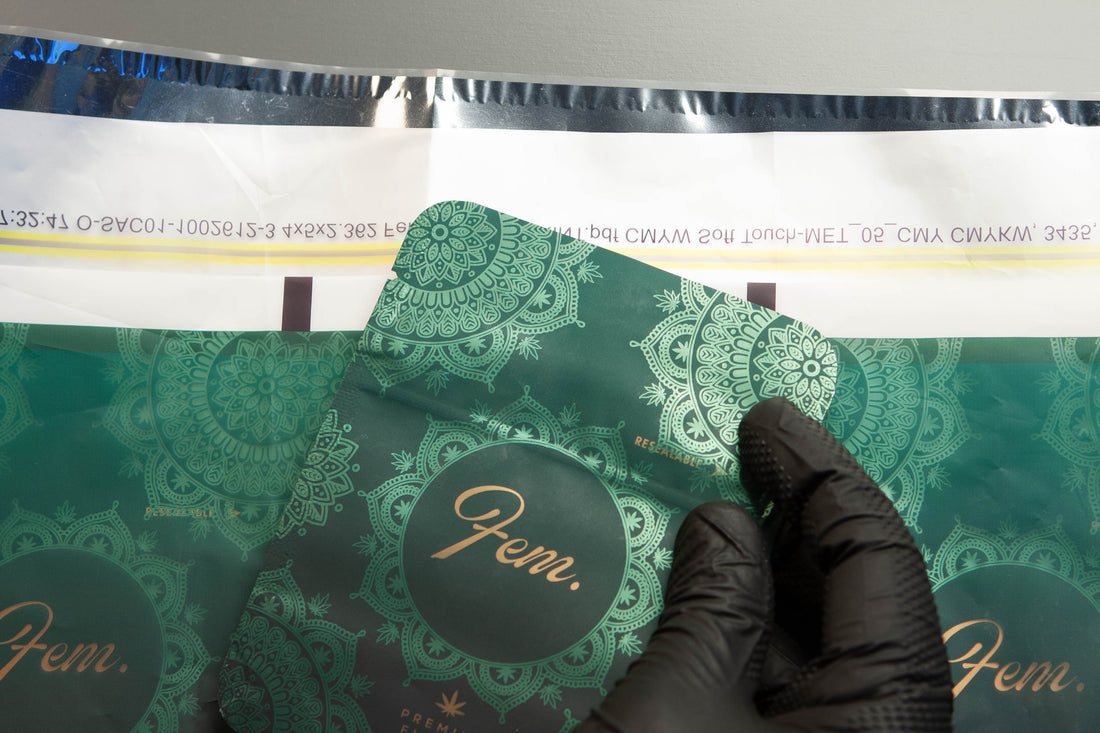 Anatomy of the Mylar Bag: The Three-Layer Barrier