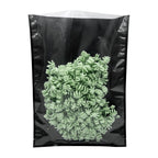 Bag King Precut Vacuum Seal Bags HD 5 mil 15" x 20" Pack of 50 (Bulk Discount Pricing)