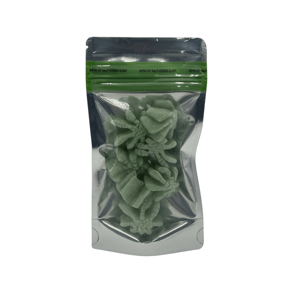 Bag King Child-Resistant Clear Front Green Zipper Bag (1/4th oz)