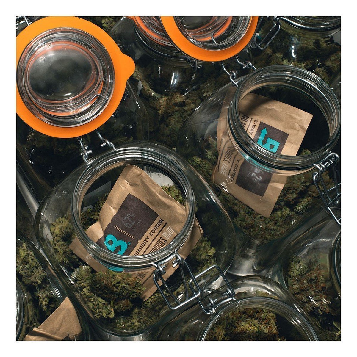 Boveda 58% RH (67 Gram) Single Pack