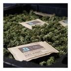 Boveda 58% RH (67 Gram) Single Pack