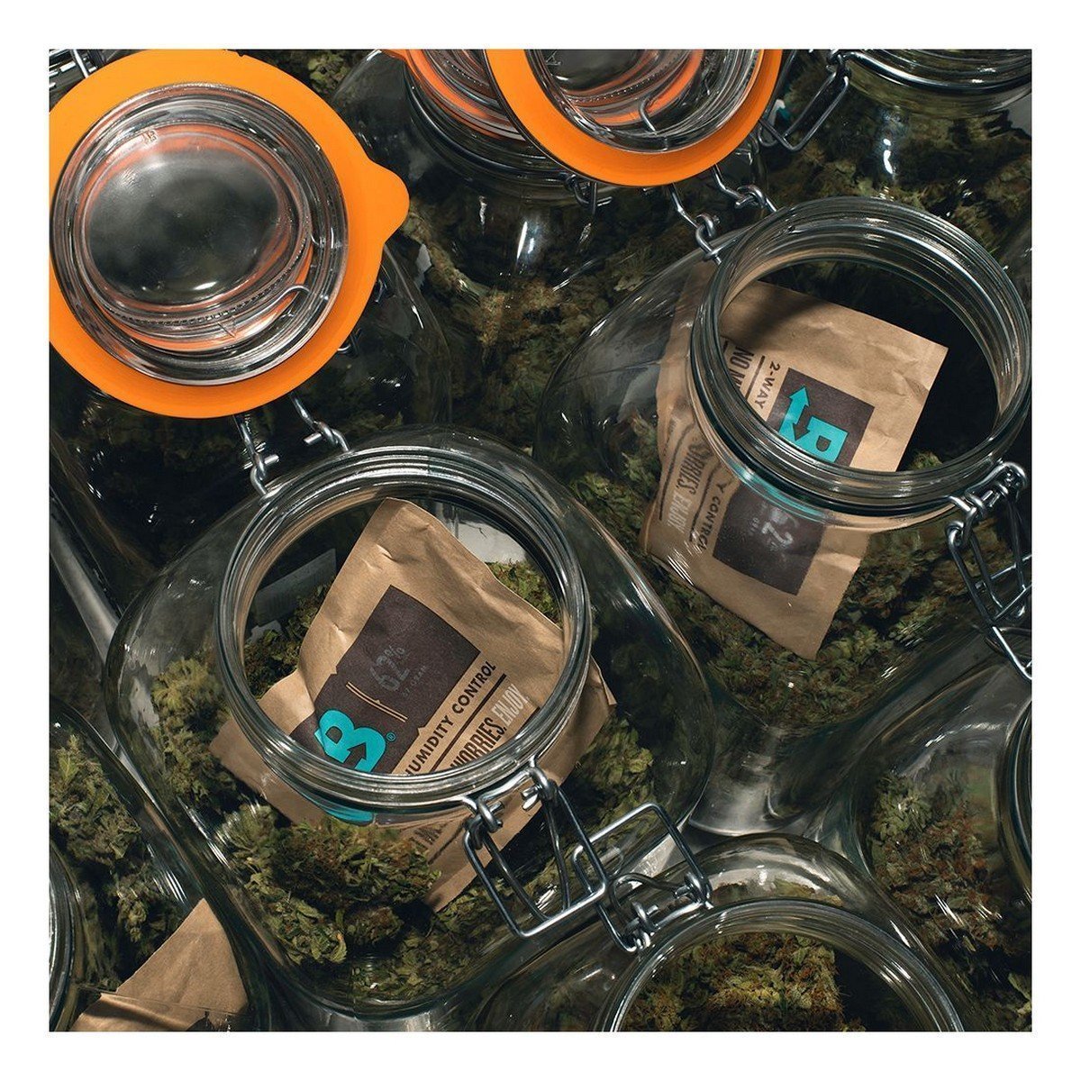 Boveda 62% RH (67 gram) Single Pack